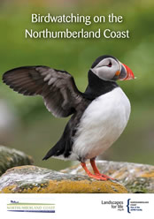 New bird watching guide for the coast